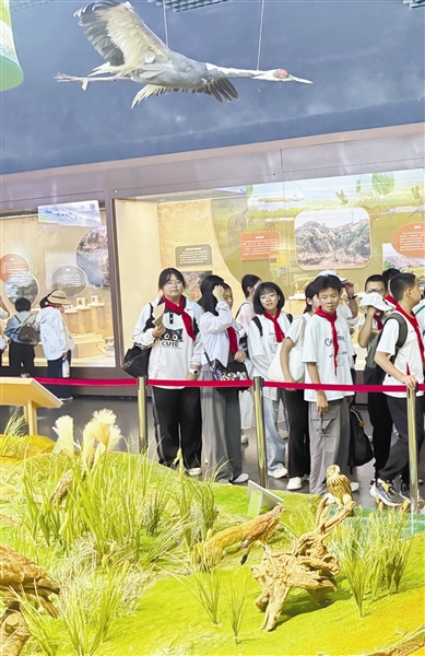 点击修改图片宽度比例 12810683_zpgyy_1759667763834_b.jpg