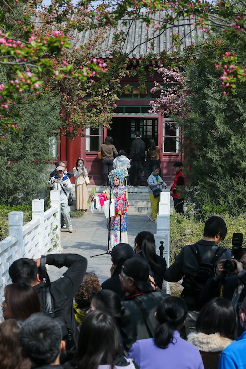 海棠花開憶偉人——周恩來鄧穎超紀念館第二屆海棠文化周啟幕