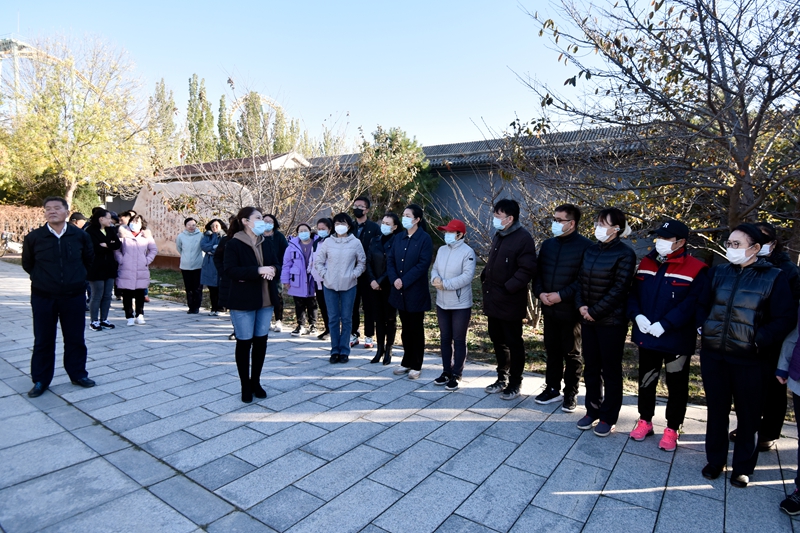 _DSC2129.jpg _DSC2129.jpg